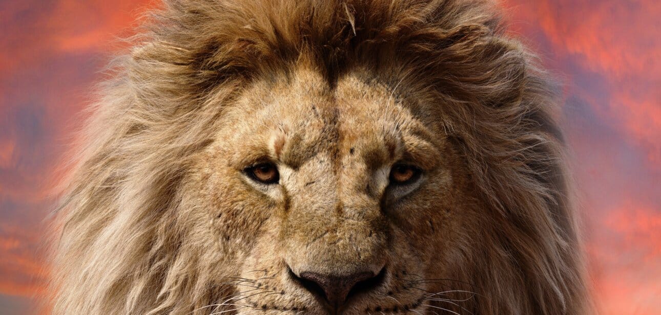 Mufasa król lew